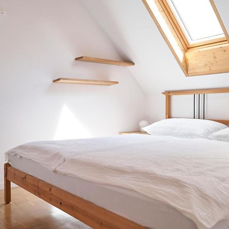 Ljubljana City Dragon Apartment エクステリア 写真